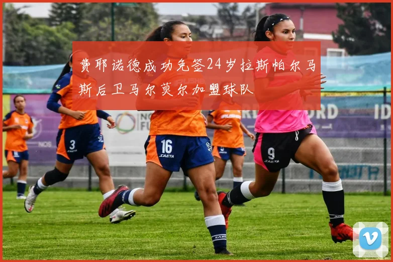 费耶诺德成功免签24岁拉斯帕尔马斯后卫马尔莫尔加盟球队